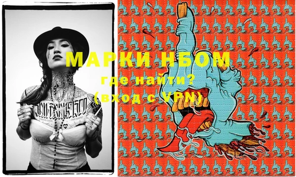 бошки Няндома